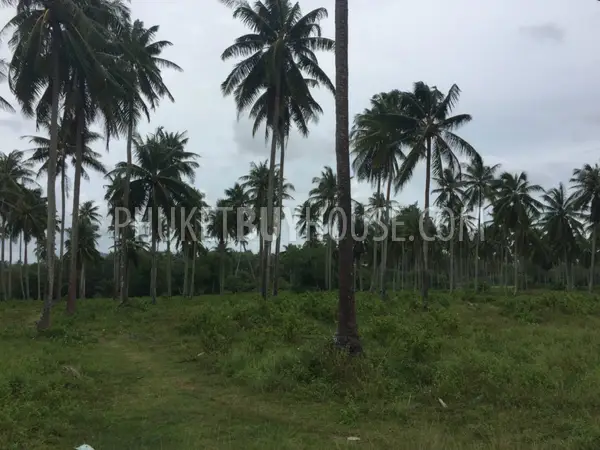 PHA5849: Huge Plot only 200 meter from Natai Beach. Photo #5
