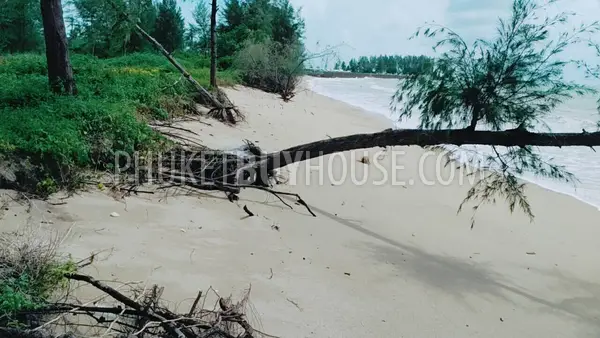 PHA5855: Beachfront Plot in Pangna. Photo #1