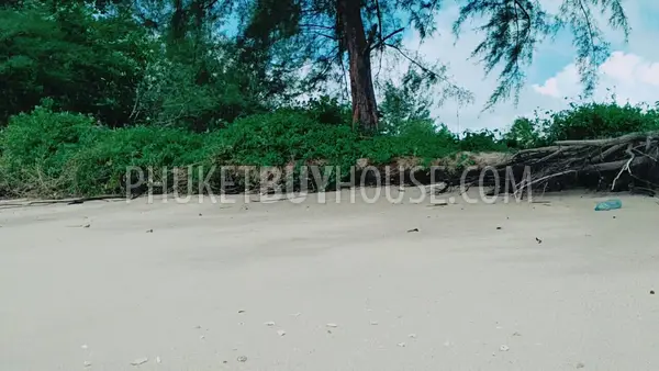 PHA5855: Beachfront Plot in Pangna. Photo #5