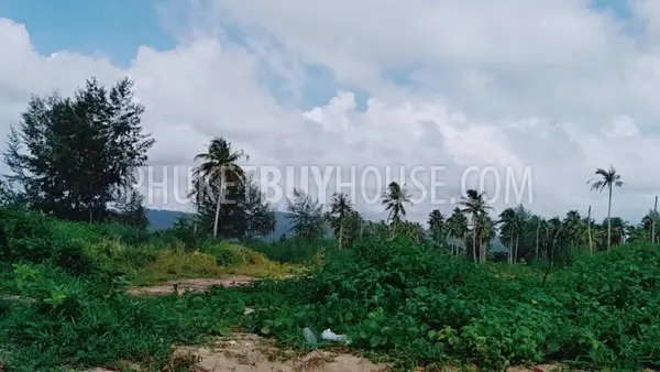 PHA5855: Beachfront Plot in Pangna. Photo #7