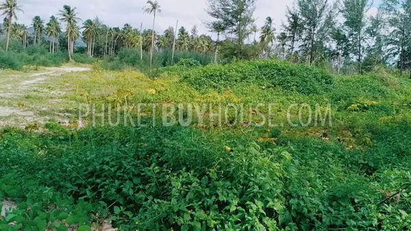 PHA5855: Beachfront Plot in Pangna. Photo #10