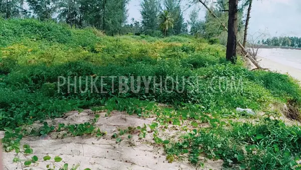 PHA5855: Beachfront Plot in Pangna. Photo #11