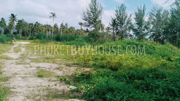 PHA5855: Beachfront Plot in Pangna. Photo #12