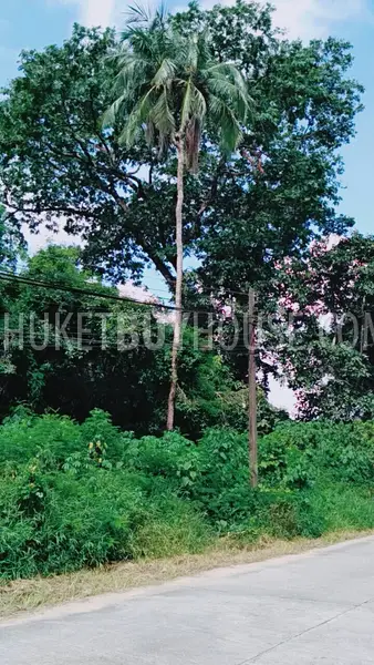 PHA5856: Plot of Land close to the Khuek Khak Beach. Photo #3