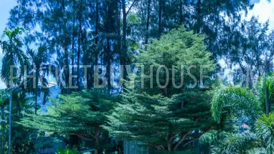 BAN5896: Charming Pool Villa with Tropical Garden. Fotoğraf #31