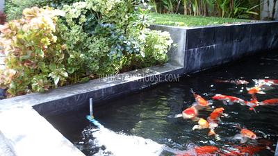 SUR5967: Великолепная Вилла с частным бассейном в Сурине. Фото #29