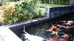 SUR5967: Великолепная Вилла с частным бассейном в Сурине. Миниатюра #29