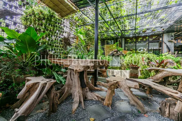 RAW6019: Commercial building for Restaurant or Cafe with 2 Bedrooms. Фото #8