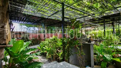 RAW6019: Commercial building for Restaurant or Cafe with 2 Bedrooms. 照片 #12