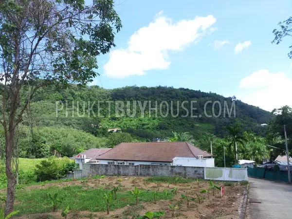 CHA6003: Plot of Land for building villas on the way to Big Buddha statue. Photo #1
