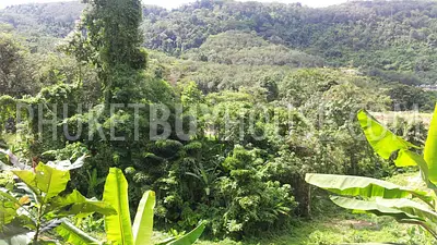 CHA6003: Plot of Land for building villas on the way to Big Buddha statue. 照片 #2