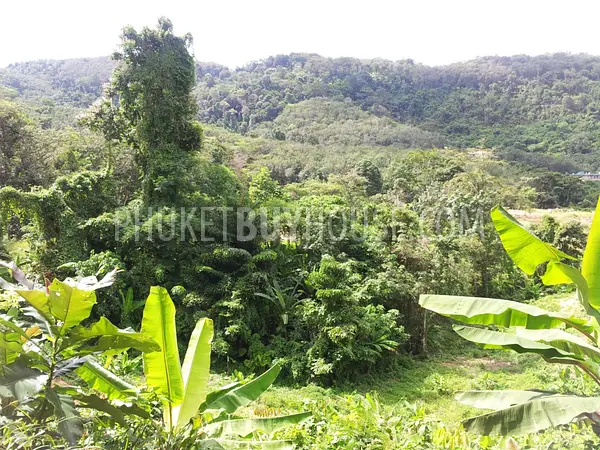 CHA6003: Plot of Land for building villas on the way to Big Buddha statue. Photo #2