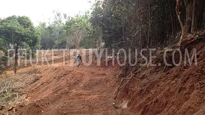 CHA6003: Plot of Land for building villas on the way to Big Buddha statue. 照片 #6