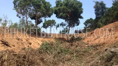CHA6003: Plot of Land for building villas on the way to Big Buddha statue. 照片 #7