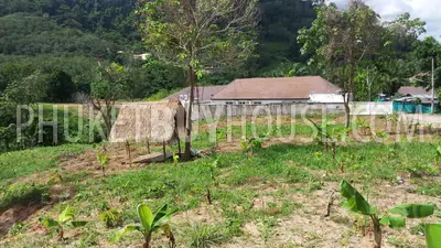 CHA6003: Plot of Land for building villas on the way to Big Buddha statue. 照片 #8