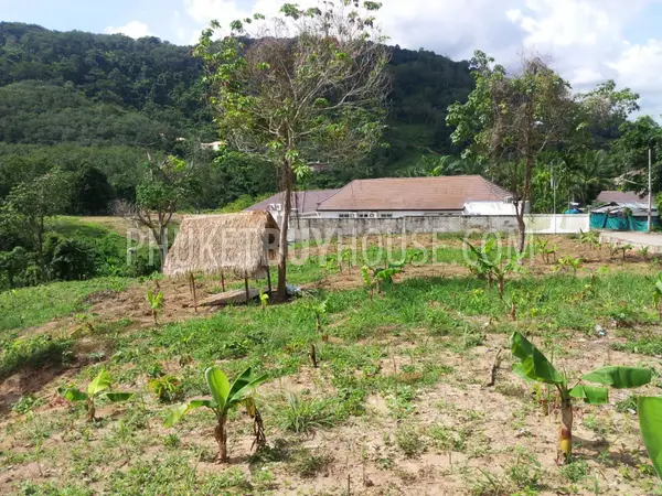CHA6003: Plot of Land for building villas on the way to Big Buddha statue. Photo #8