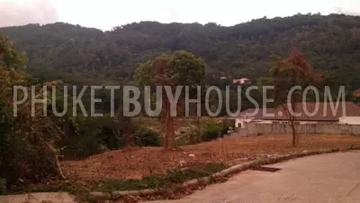 CHA6003: Plot of Land for building villas on the way to Big Buddha statue. 照片 #9
