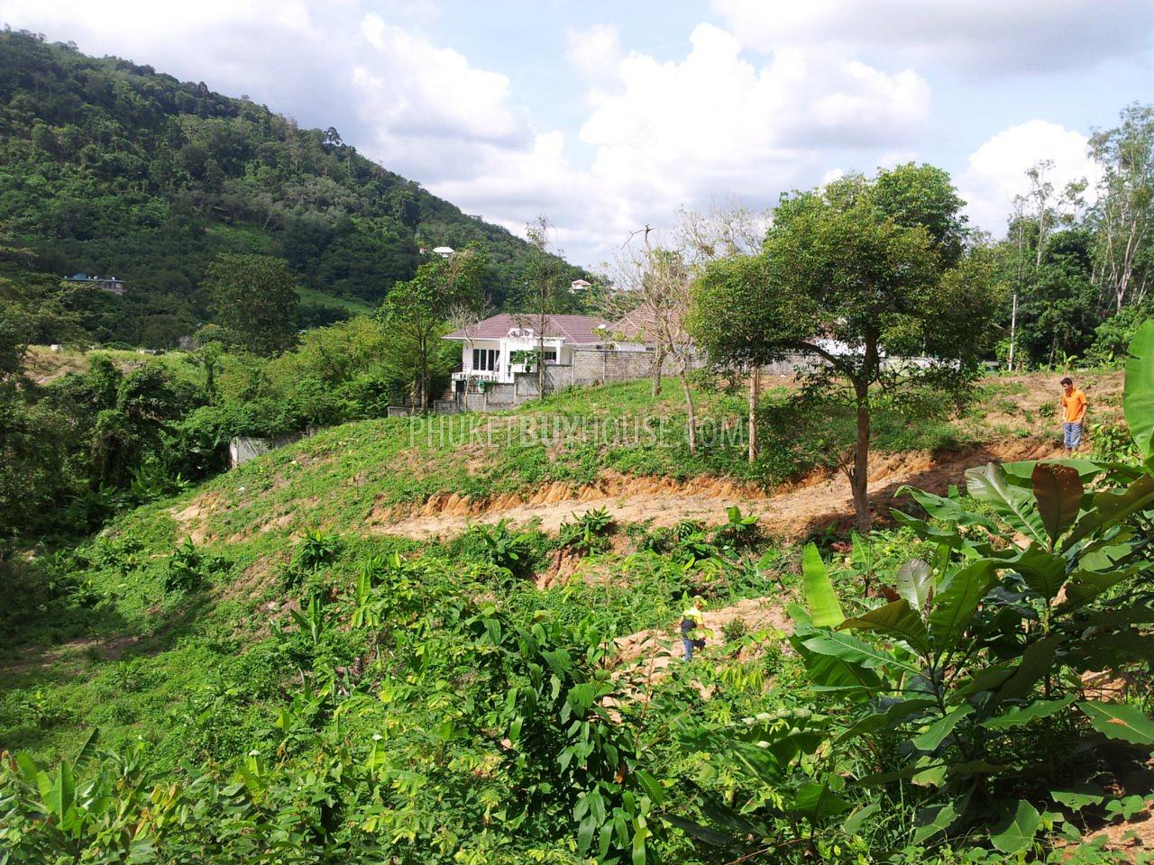 CHA6003: Plot of Land for building villas on the way to Big Buddha statue. Photo #12