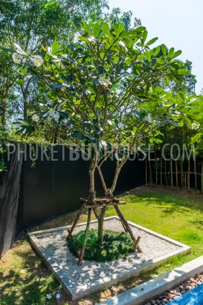 LAY6030: Luxury Villa with 3 Bedrooms in Layan. Photo #42