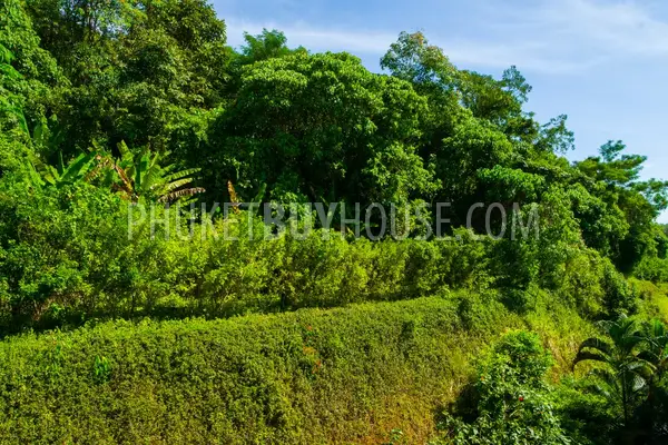 CAP6040: Pool Villa at the exclusive Residence in Cape Yamu. Photo #80