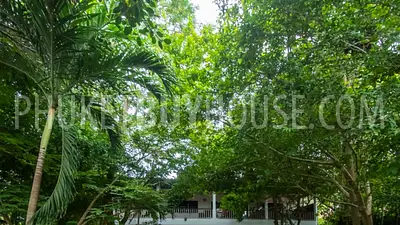 RAW6144: 3-bedroom Villa on a huge plot of land in the Rawai area. Photo #2