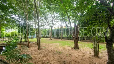 RAW6144: 3-bedroom Villa on a huge plot of land in the Rawai area. Photo #3