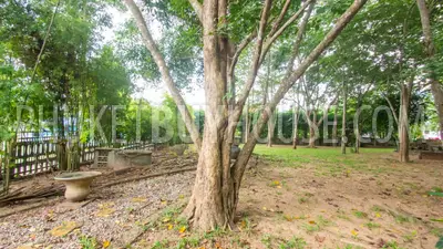 RAW6144: 3-bedroom Villa on a huge plot of land in the Rawai area. Photo #8