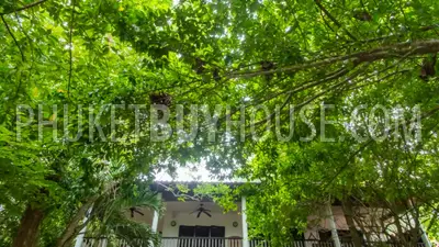 RAW6144: 3-bedroom Villa on a huge plot of land in the Rawai area. Photo #26