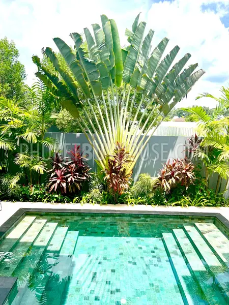 BAN7090: Three Bedroom Eco Villa in Bang Tao. Photo #55