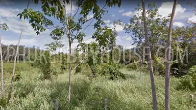 TAL6254: 在湖边一个安静的地方着陆. 照片 #1