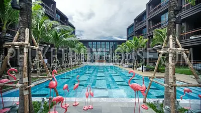 RAW6345: 1-Bedroom Modern Apartment in Rawai area. Photo #1
