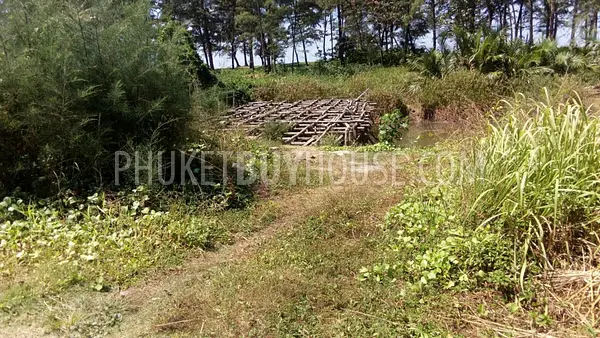 PHA6368: Land 3 Rai in Natai Beach. Photo #6