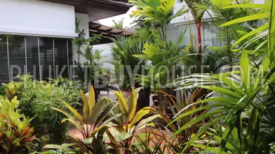 NAI6362: Unique Balinese Style Villa in Nai Harn Beach. 照片 #35