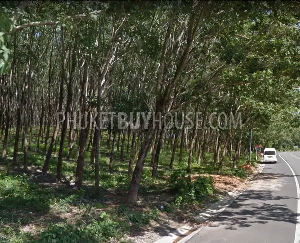 AOP6449: Land for Sale in Paklok. Fotoğraf #2
