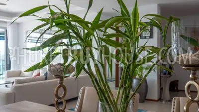 BAN21974: Oceanview Elegance: Luxurious 3 Bedroom Penthouse in Thalang. Fotoğraf #39