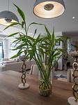 BAN21974: Oceanview Elegance: Luxurious 3 Bedroom Penthouse in Thalang. 缩略图 #39