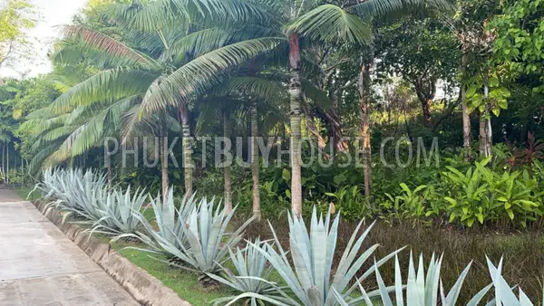 CAP6572: Luxury Villa with Panoramic Sea Views in the area of Cape Yamu. Fotoğraf #53