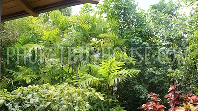 LAY6579: Urgent Sale! Exclusive Villa on Layan Beach. Photo #42