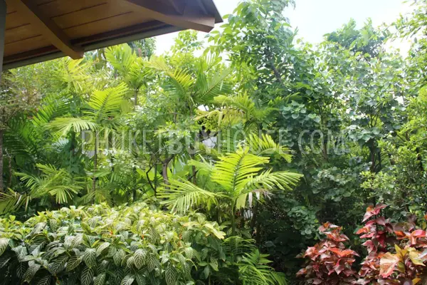 LAY6579: Urgent Sale! Exclusive Villa on Layan Beach. Photo #42