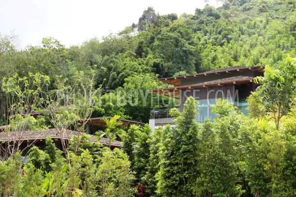 LAY6579: Urgent Sale! Exclusive Villa on Layan Beach. Photo #48