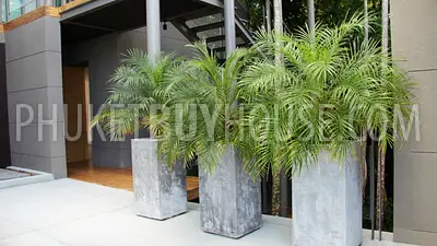 LAY6579: Urgent Sale! Exclusive Villa on Layan Beach. Photo #71