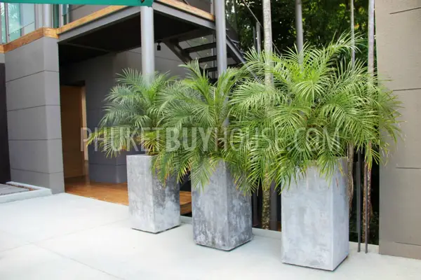 LAY6579: Urgent Sale! Exclusive Villa on Layan Beach. Photo #71