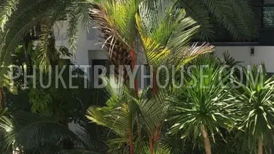 KAM6584: 2 bedroom Apartment in Kamala. Photo #7