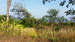 PAN6557: Plot of Land for Sale with Sea View in Panwa area. Thumbnail #16