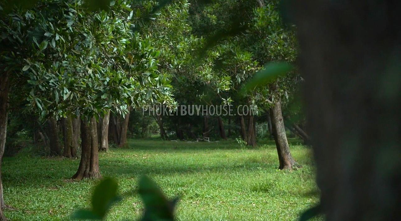 PHA22014: Продается Огромный Земельный Участок в Пханг Нга. Фото #2