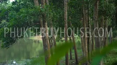 PHA22014: Huge Land Plot For Sale In Phang Nga. 照片 #4