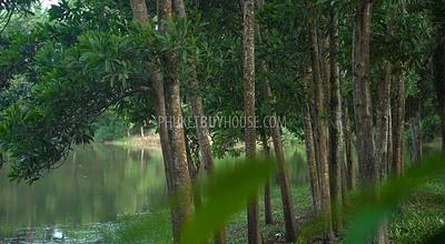 PHA22014: Продается Огромный Земельный Участок в Пханг Нга. Фото #4