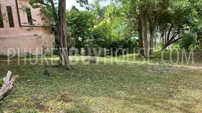 NAI22007: Land For Sale in Nai Harn. 照片 #1