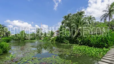 SUR6654: Designer Apartments for Sale in Surin. Photo #11