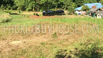RAW6650: Plot of Land for Sale in Rawai. Photo #1